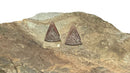 14kt Gold & Diamond Triangular Shaped Earrings