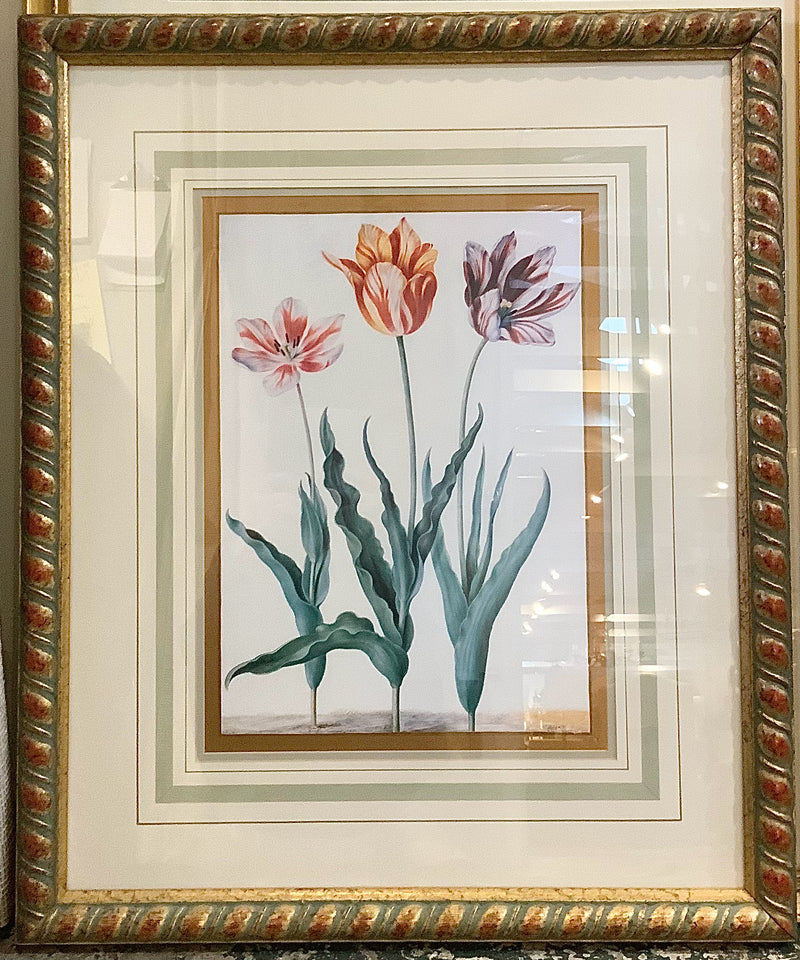 Pair of Soicher-Marin Tulip Botanicals in Gold Frames