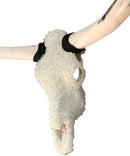 Artist Embellished Authentic Longhorn Skull