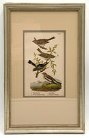 Pair of Vintage Birds of Pennsylvania Framed Engravings