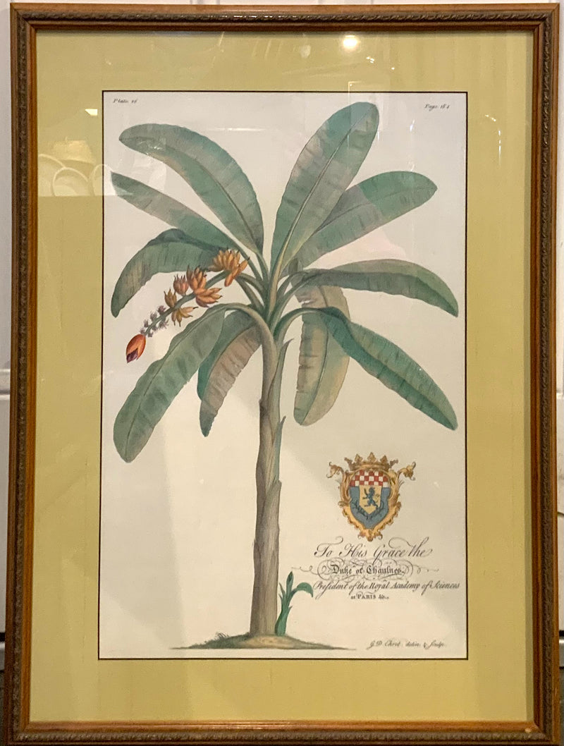 Pair of Palm Tree Prints with Coat of Arms Motif