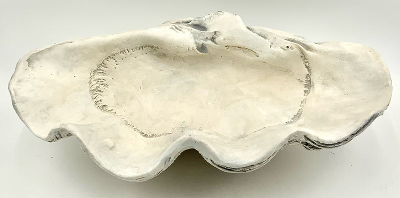 Concrete Clam Shell