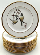 Set/12 Spode Ray Harm Songbird Plates