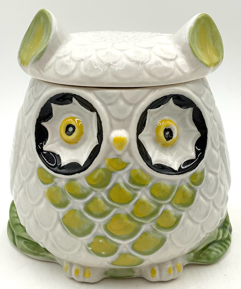 Anthropologie Wise Old Owl Cookie Jar