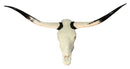 Artist Embellished Authentic Longhorn Skull