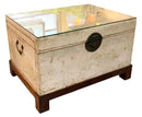 Painted Leather Coffee Table Trunk