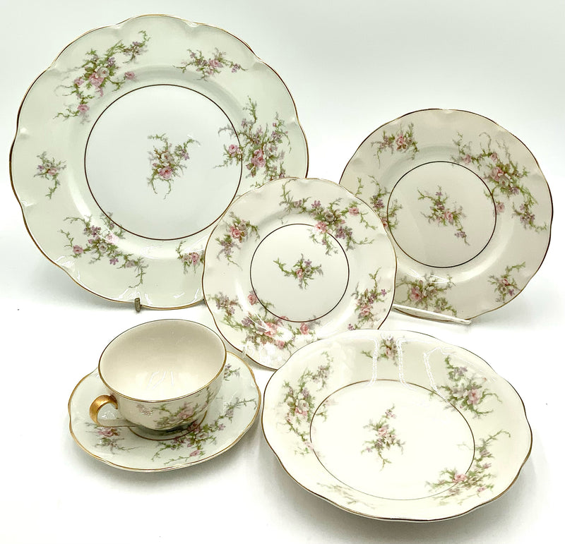 Theodore Haviland Rosalinde Service for 8 Plus Extras