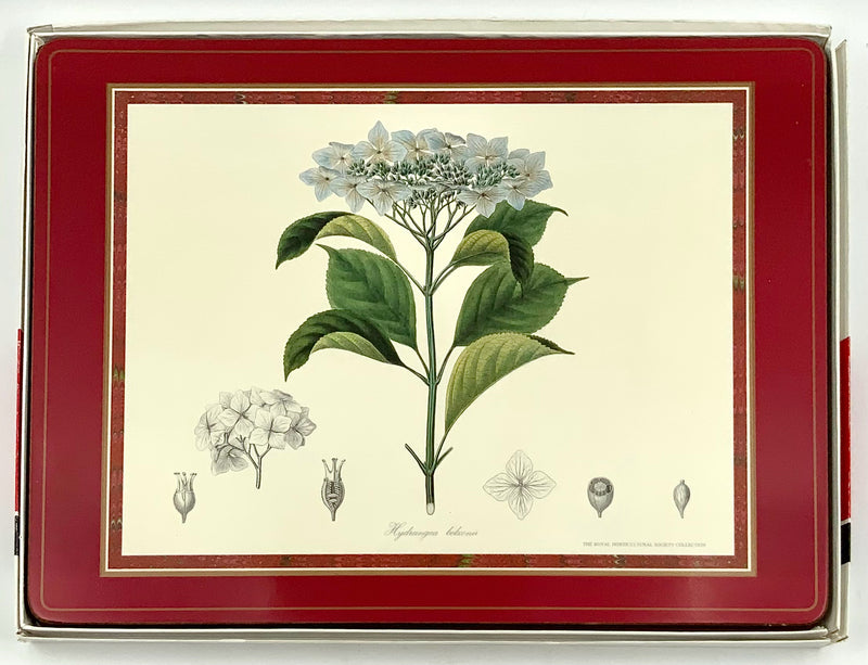 Set/4 Pimpernel Botanical Placemats