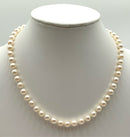 10kt Gold & Cultured Akoya Pearl Necklace