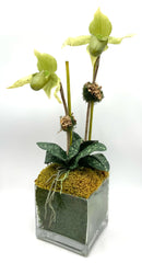 Faux Orchid in Glass Vase