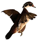 Natural Stuffed Duck