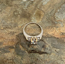 14kt White Gold & Diamond Ring