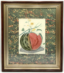 Pair of Framed Melon Botanical Prints