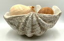 Pottery Barn Faux Clamshell With Natural Shelld