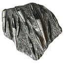 Polished Ammonite Fossilized Specimen