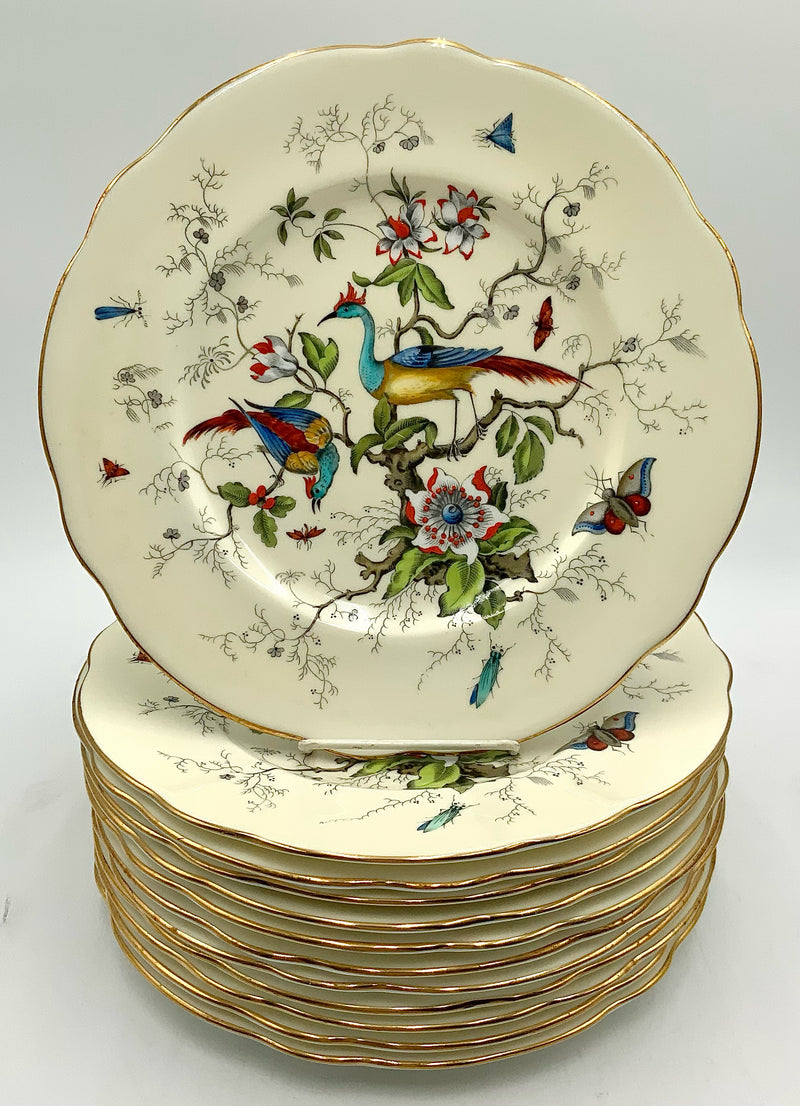 Set/12 Coalport "Cairo" Dinner Plates