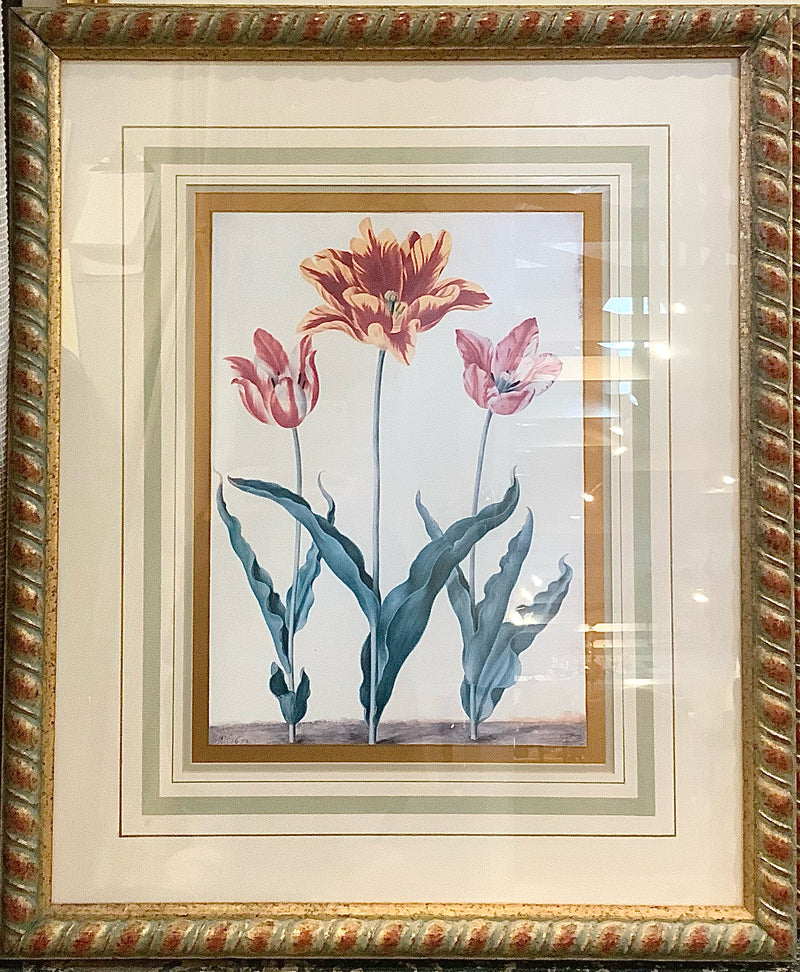 Pair of Soicher-Marin Tulip Botanicals in Gold Frames