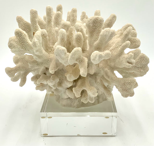 White Resin Coral Sculpture on Glass Base