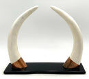 Pair of Horns on Wood Base