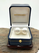 14kt Gold & South Sea Pearl Earrings
