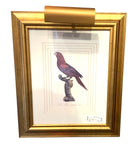 Pair of Parakeet Prints With Picture Lights