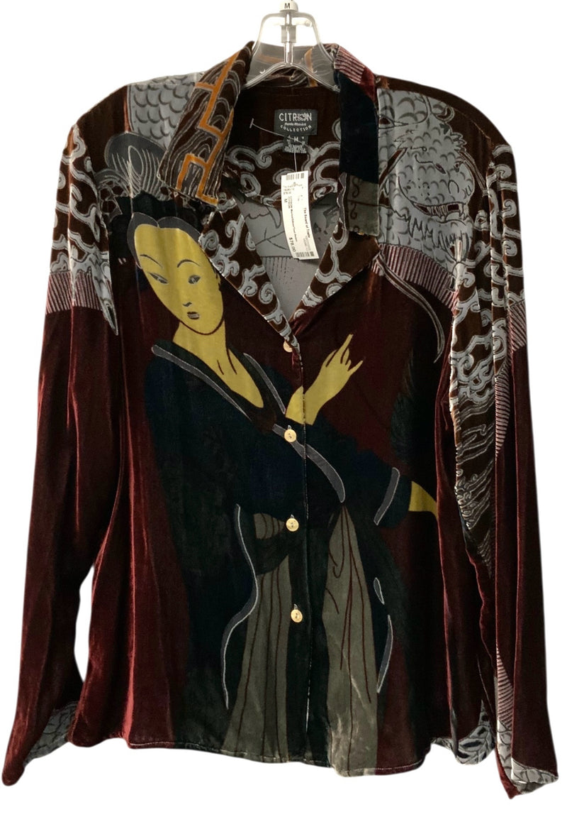 CITRON Merlot/Silver/Teal Asian Inspired Velvet L/S B/D Top