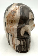 Petrified Wood Skull Figure