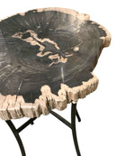Petrified Wood Occasional Table