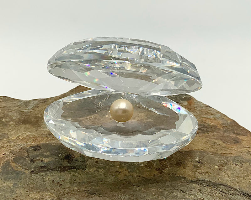 Crystal SWAROVSKI Oyster with Pearl