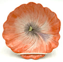 Set/4 Fitz & Floyd Hibiscus Bowls