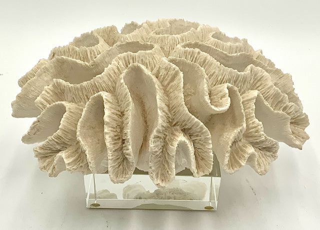 White Resin Coral Sculpture on Glass Base