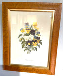 Pair of Vintage Botanical Prints in Burled Wood Frames