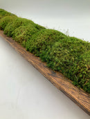 Oval Wood & Moss Table Centerpiece