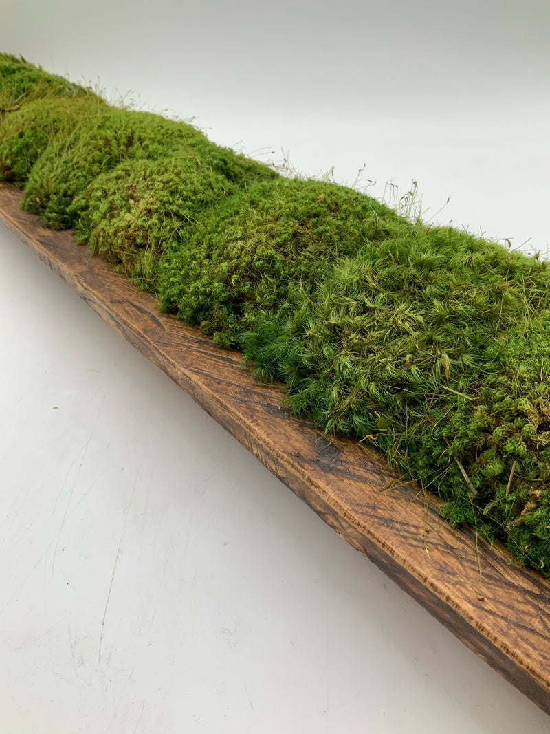 Oval Wood & Moss Table Centerpiece