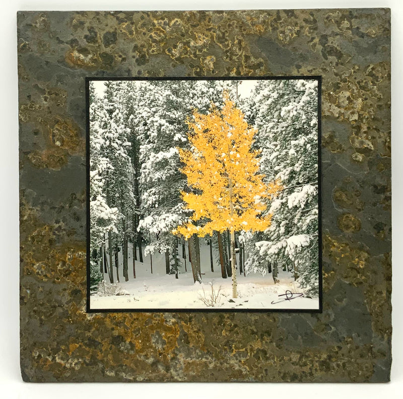 David Clack Slate Art