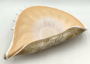 Krosno Jozefina Art Glass Shell Bowl