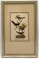Pair of Vintage Birds of Pennsylvania Framed Engravings