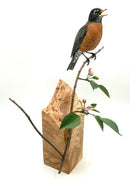 Hand Carved American Robin by Gary Eigenberger