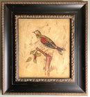Pair of Uttermost Canvas Bird Prints