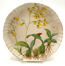 Set/6 Antique Minton Orchid Plates