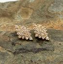 10kt Gold & Diamond Cluster Earrings