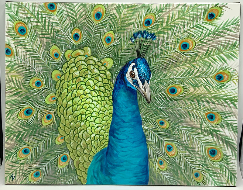 Original Acrylic on Canvas of Peacock