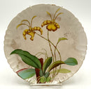 Set/6 Antique Minton Orchid Plates