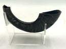 Ram's Horn Shofar on Acrylic Stand