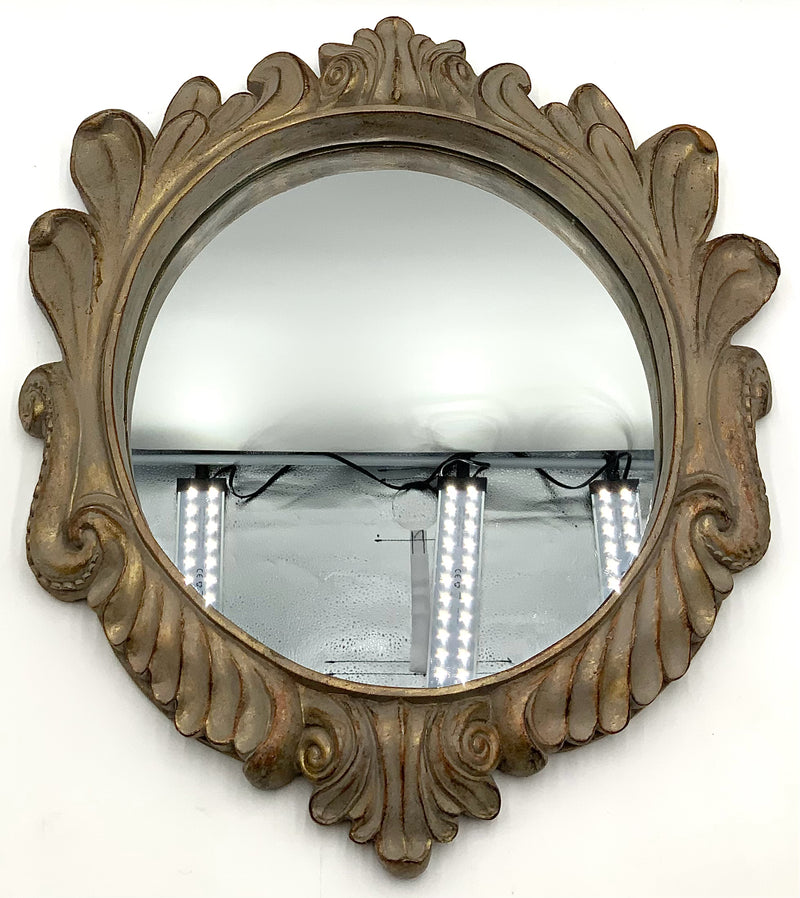 Small Oval Mirror with Ornate Gold Frame
