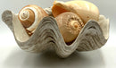 Pottery Barn Faux Clamshell With Natural Shelld