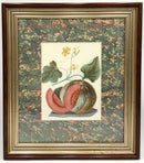 Pair of Framed Melon Botanical Prints