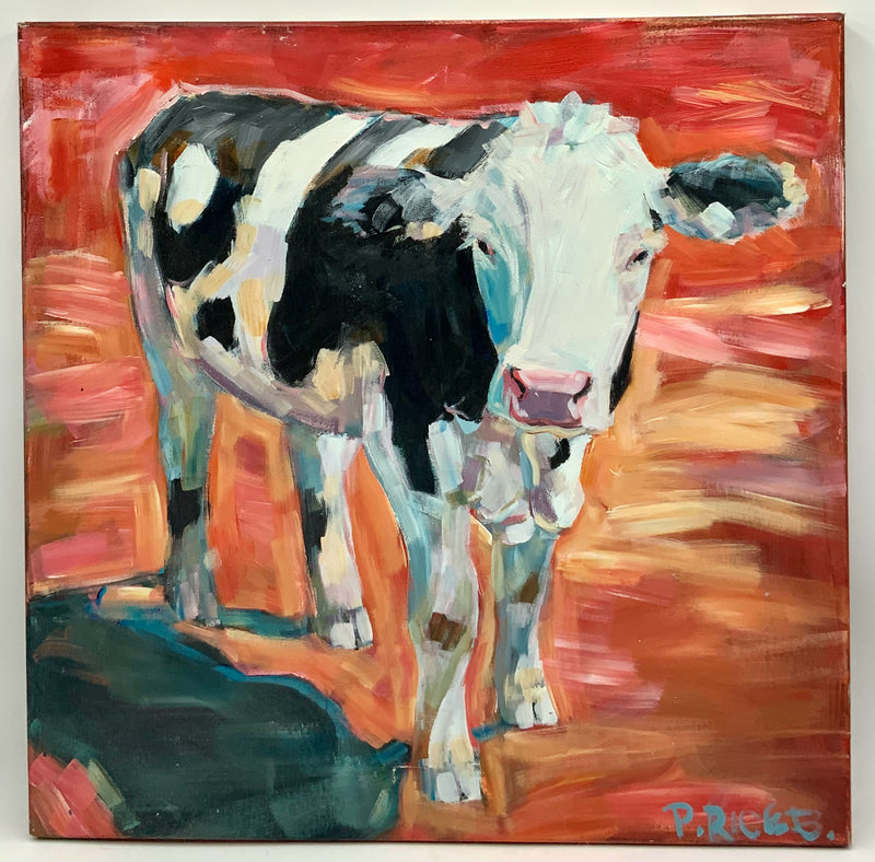 Patty Rice Blohm Original Oil on Canvas of Cow