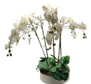 Extra Large Faux Orchid